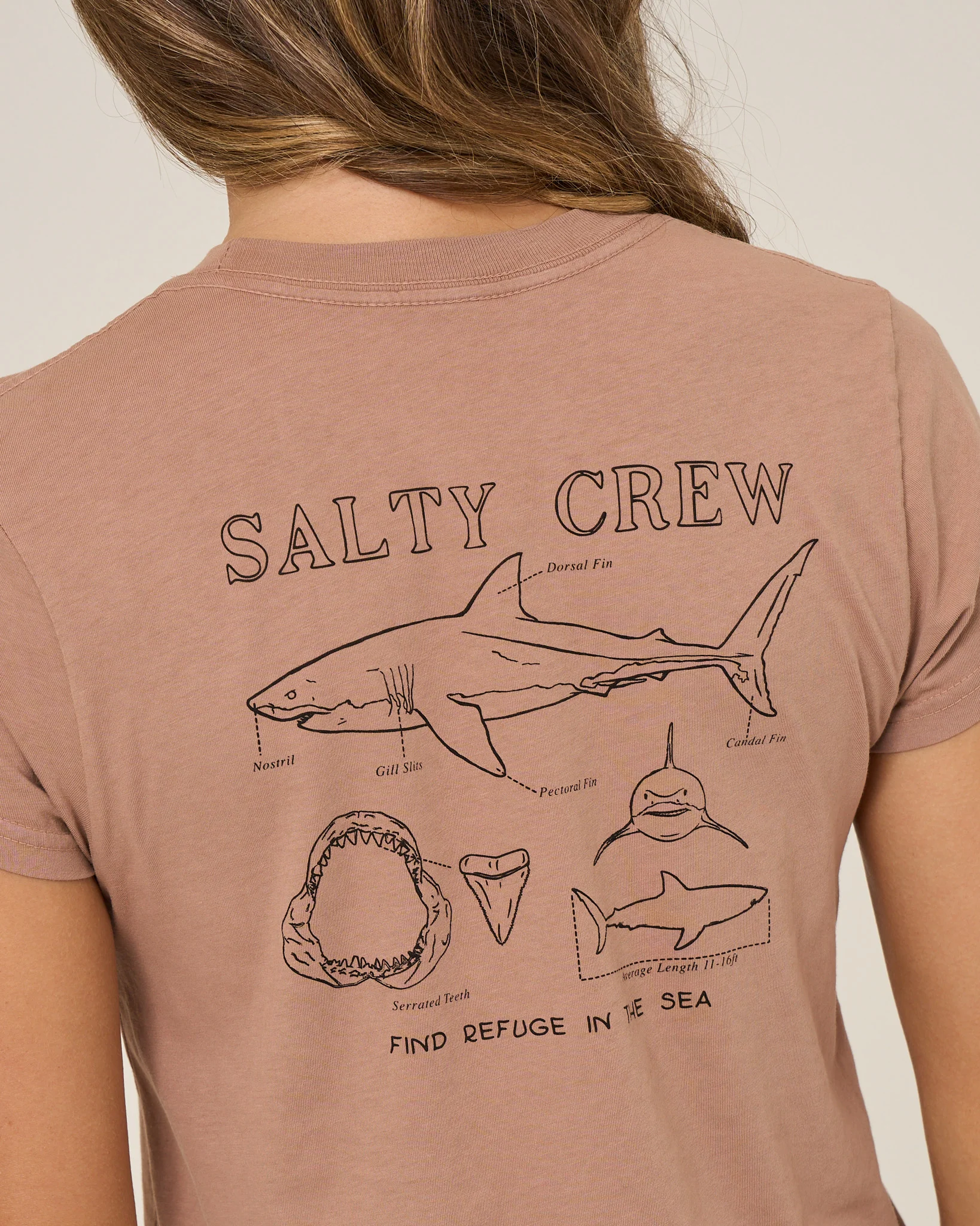 Shark Anatomy Modern Tee - Mocha - Image 3